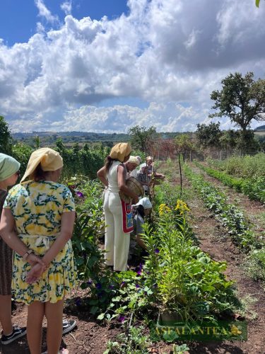20250731-Giornata-del-Pane-WP-128