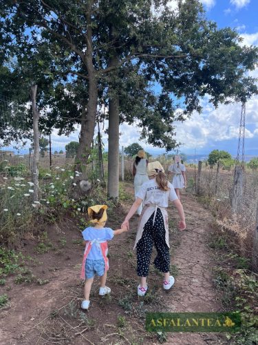 20250731-Giornata-del-Pane-WP-130