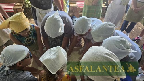 20250802-Giornata-del-Pane-WP-74