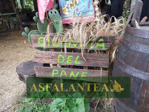 20250816-Giornata-del-Pane-WP-30