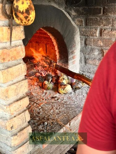 20250830-Giornata-del-Pane-WP-88