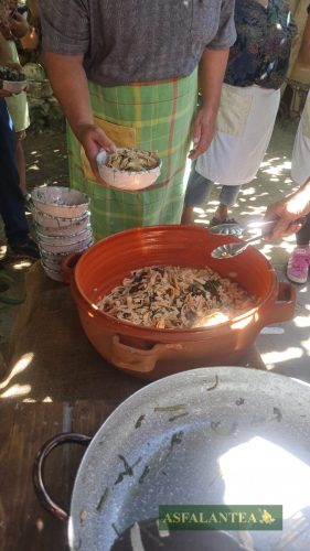 20250904-Giornata-della-Pasta-WP-7