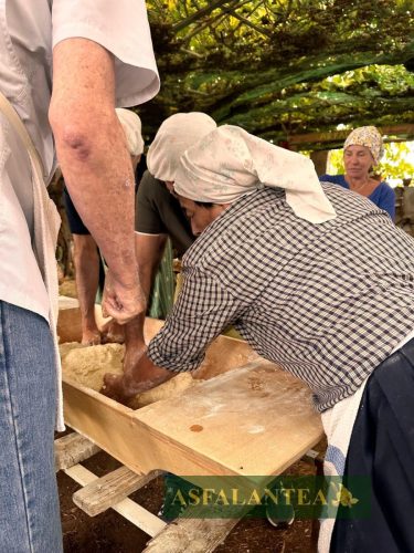 20250927-Giornata-del-Pane-WP-103