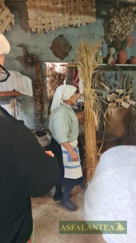 20251002-Giornata-della-Pasta-WP-10
