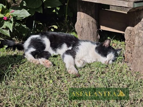 20251011-Giornata-del-Pane-WP-16