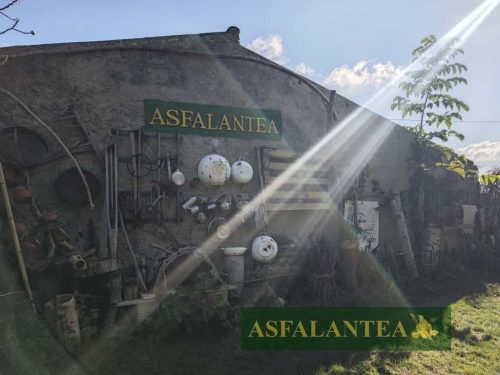 20251011-Giornata-del-Pane-WP-22