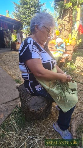 20251011-Giornata-del-Pane-WP-3