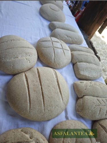 20251011-Giornata-del-Pane-WP-38