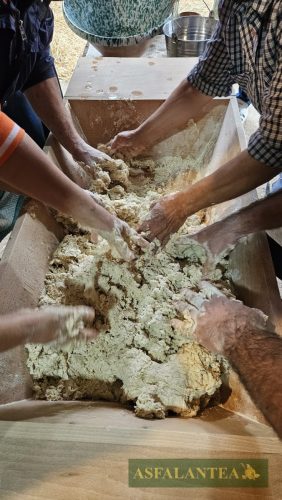 20251025-Giornata-del-Pane-WP-26