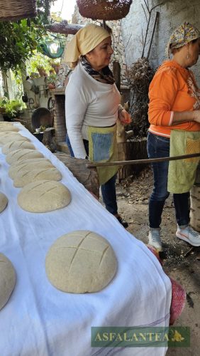 20251025-Giornata-del-Pane-WP-32