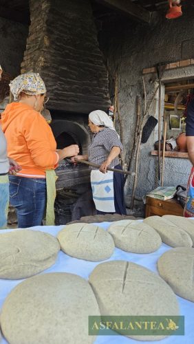 20251025-Giornata-del-Pane-WP-33