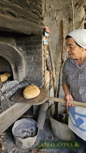 20251025-Giornata-del-Pane-WP-51