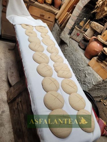 20251025-Giornata-del-Pane-WP-56