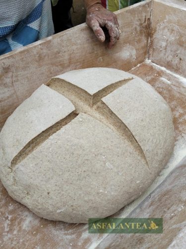 20260307-Giornata-del-Pane-WP-100