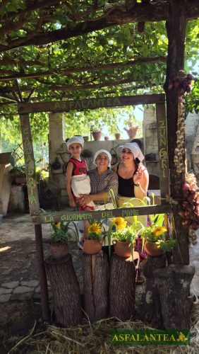 20260815-Giornata-della-Pitta-Chjina-WP-4