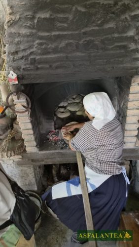 20260822-Giornata-del-Pane-WP-62