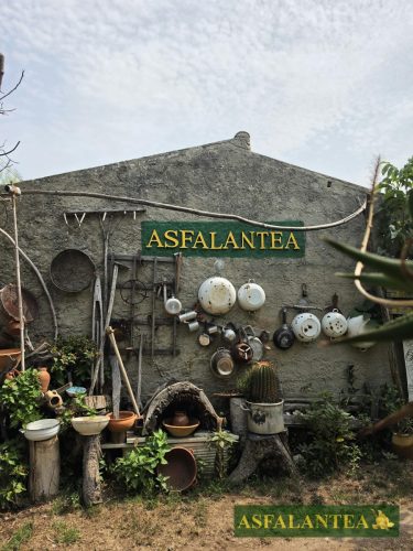 20260829-Giornata-del-Pane-WP-104