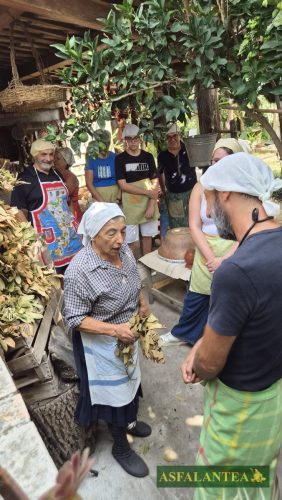 20260829-Giornata-del-Pane-WP-27
