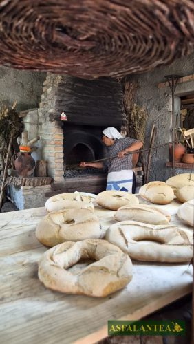20260829-Giornata-del-Pane-WP-64