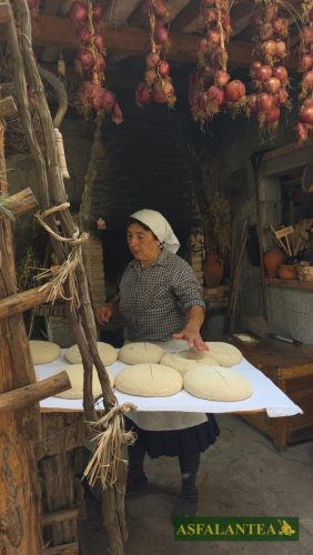 20260829-Giornata-del-Pane-WP-85
