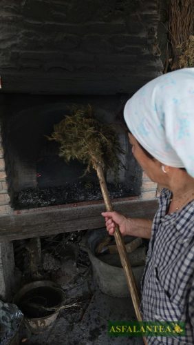 20260829-Giornata-del-Pane-WP-87