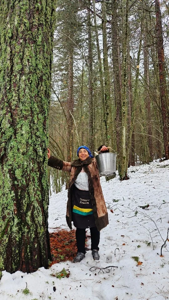 Quandu a terra è ammantata i nivi mejjiu si mangia e mejjiu si mbivi

Oggi è la volta di “Quandu a terra è ammantata i nivi, mejjiu si mangia e mejjiu si mbivi” letteralmente: quando la terra è ammantata di neve, si mangia meglio e si beve. Sulla neve candida della Sila calabrese, il paesaggio si trasforma in un vero paradiso bianco. Tra emozione, ricordi e tradizioni, il video racconta un antico detto tramandato dalle nonne: quando la terra è ricoperta di neve non si può andare nei campi, non si possono svolgere i lavori quotidiani, e così si resta in casa. Ma è proprio lì che nasce la magia: ci si riunisce attorno al focolaio, si riscopre il valore della famiglia, si ascoltano le storie di una volta e si gustano i piatti semplici e genuini della tradizione, patate bollite, salsicce arrostite, un buon bicchiere di vino. La neve non è solo bellezza: è riposo per la terra, è fertilità, è promessa di pane. Come diceva la nonna, “sotto la neve c’è il pane”, perché protegge e rigenera la natura, mentre il gelo la distrugge. Tra racconti d’infanzia, giochi nella neve e la dolce preparazione della “Scirubetta”, il video celebra la saggezza contadina e la gioia delle piccole cose, ricordandoci che a volte fermarsi significa ritrovare ciò che conta davvero.

🇮🇹 CALABRIA 'NTO CORI ❤️
https://whatsapp.com/channel/0029VaagyAA6rsQmrBPoCW1L

🤝🏻 Sostienici: facebook.com/becomesupporter/Asfalantea/

Seguici anche su:
facebook.com/Asfalantea
tiktok.com/@asfalantea
youtube.com/@asfalantea
https://asfalantea.it

Articolo su 👉🏼 https://asfalantea.it/detti-e-proverbi/quandu-a-terra-e-ammantata-i-nivi-mejjiu-si-mangia-e-mejjiu-si-mbivi/20/02/2026/

#proverbio #silacalabrese #neveinsila #dettipopolari #saporidicasa