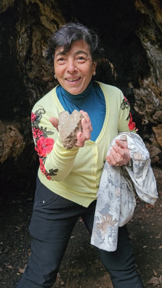 U Platanu i Curinga - Il Platano di Curinga

A Curinga, nel catanzarese, tra i suggestivi resti del Monastero di Sant'Elia, immersi in una natura incontaminata, si va alla scoperta del maestoso Platano di Curinga, uno degli alberi più antichi e affascinanti d’Europa. Si tratta di un platano orientale (Platanus orientalis), con un’età stimata tra i 1000 e i 1200 anni, una circonferenza di circa 13 metri e un’altezza che supera i 30 metri. La sua particolarità è l’interno completamente cavo, così ampio da poter essere attraversato, rendendo l’esperienza ancora più suggestiva e unica. Secondo la tradizione, l’albero sarebbe stato piantato dai Monaci basiliani, molto presenti in questa zona della Calabria tra il Medioevo e l’età bizantina. Attorno al platano nasce anche una leggenda: chiunque avesse provato a tagliarlo sarebbe diventato sordo, motivo per cui è stato sempre rispettato e considerato quasi sacro. È un’emozione vederlo dal vivo, questo gigante della natura, tra il suono dell’acqua del vicino torrente, l’aria pura e il contatto diretto con un luogo ricco di storia e spiritualità. Un’esperienza intensa, vissuta con il cuore e capace di lasciare un ricordo indelebile.

🇮🇹 CALABRIA 'NTO CORI ❤️
https://whatsapp.com/channel/0029VaagyAA6rsQmrBPoCW1L

5️⃣X1️⃣0️⃣0️⃣0️⃣ Ass. Asfalantea C.F. 96046550792

🤝🏻 Sostienici: facebook.com/becomesupporter/Asfalantea/

Seguici anche su:
facebook.com/Asfalantea
tiktok.com/@asfalantea
youtube.com/@asfalantea
https://asfalantea.it

#platanodicuringa #calabriadascoprire #naturaincontaminata #alberimillenari #curinga