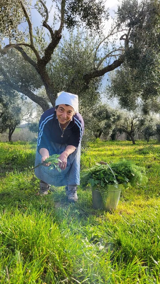 Cogghiu i jerbi i margiu - Raccolgo la verdura da campo

Un viaggio tra i sapori autentici della campagna. In questo video raccolgo diverse verdure selvatiche, ognuna con il suo nome e il suo sapore unico: dalle "Cicorie" alle "Prestinache", dalla "Picciunarra" alle "Nicchie", fino al "Finocchio di Timpa". Erbe semplici ma ricche di gusto, che crescono spontaneamente senza trattamenti direttamente dalla terra. Raccoglierle è un momento di relax e di connessione con la natura, proprio come facevano una volta le nostre nonne. È importante scegliere luoghi puliti e prendere solo le foglie più tenere, rispettando ciò che la terra ci offre, queste verdure, cucinate insieme, danno vita a piatti genuini e saporiti, veri prodotti a km 0 come d'altronde tutti i nostri prodotti e ricordiamoci sempre che dalla terra proviene tutto e non c'è niente di più bello che raccogliere i frutti che la terra ci offre con tanta generosità.

🇮🇹 CALABRIA 'NTO CORI ❤️
https://whatsapp.com/channel/0029VaagyAA6rsQmrBPoCW1L

5️⃣X1️⃣0️⃣0️⃣0️⃣ Ass. Asfalantea C.F. 96046550792

🤝🏻 Sostienici: facebook.com/becomesupporter/Asfalantea/

Seguici anche su:
facebook.com/Asfalantea
tiktok.com/@asfalantea
youtube.com/@asfalantea
https://asfalantea.it

#erbeselvatiche #saporiautentici #km0 #vitaincampagna #raccoltanaturale