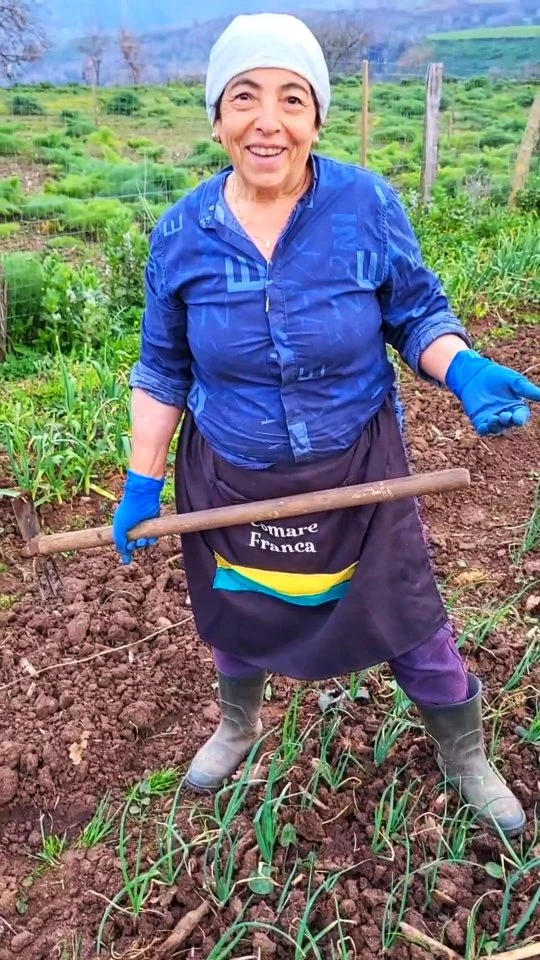 Promentìu prometti - Chi fa prima, meglio raccoglie

“Cummari" Franca è pronta a piantare la cipolla qualità "mezza campana" alla Raìsina. Con le mani nella terra e la sapienza di una volta, quella che non si impara sui libri ma vivendo la campagna giorno dopo giorno. È questo il momento giusto, quello che non si deve perdere… perché la terra premia chi la rispetta e chi arriva prima. Chi prima fa… meglio raccoglie! Un detto antico, semplice ma sempre vero, che ancora oggi guida ogni gesto. Come diceva sempre: “promentìu, prometti!” E chi lo sa… sa che significa raccolto buono e soddisfazione assicurata. Tra le mani nella terra e i ritmi della campagna, rivive un antico detto: “ciò che si pianta prima promette”. Non è solo agricoltura, ma una lezione di vita: chi sa cogliere il momento giusto e agire con anticipo raccoglie prima e meglio. Un sapere semplice, tramandato dai nonni, che ancora oggi insegna il valore del tempo, della pazienza e del rispetto per la terra.

🇮🇹 CALABRIA 'NTO CORI ❤️
https://whatsapp.com/channel/0029VaagyAA6rsQmrBPoCW1L

5️⃣X1️⃣0️⃣0️⃣0️⃣ Ass. Asfalantea C.F. 96046550792

🤝🏻 Sostienici: facebook.com/becomesupporter/Asfalantea/

Seguici anche su:
facebook.com/Asfalantea
tiktok.com/@asfalantea
youtube.com/@asfalantea
https://asfalantea.it

Articolo su 👉🏼 https://asfalantea.it/detti-e-proverbi/promentiu-prometti-chi-fa-prima-meglio-raccoglie/20/04/2026/

#campagna #proverbicontadini #cipolladitropea #agricolturatradizionale #saperiantichi