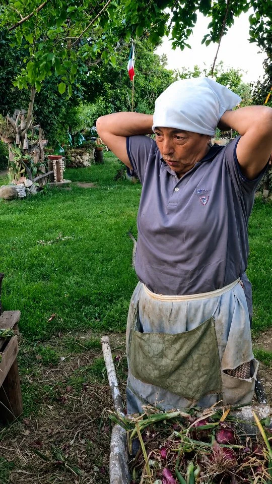 U maccaturi - Il fazzoletto

Non era solo un pezzo di stoffa, ma un simbolo di dignità, lavoro e appartenenza. I nostri nonni lo indossavano ogni giorno nei campi per proteggersi dal sole e dal freddo, lo usavano per portare il pane e il cibo della giornata, per asciugarsi il sudore e persino come segno di rispetto in chiesa. "U Maccaturi" accompagnava i contadini in ogni momento della vita e diventava un legame profondo con la propria terra. Anche gli emigranti lo portavano con sé nelle loro valigie, come un prezioso ricordo delle radici, della famiglia e degli affetti lasciati lontano. Dietro quel fazzoletto c'erano sacrificio, semplicità, pulizia, orgoglio e una bellezza autentica fatta di valori veri. Custodire queste tradizioni significa mantenere viva la memoria dei nostri nonni e delle nostre origini. Le tradizioni sono le nostre radici: non dimentichiamole mai.

🇮🇹 CALABRIA 'NTO CORI ❤️
https://whatsapp.com/channel/0029VaagyAA6rsQmrBPoCW1L

5️⃣X1️⃣0️⃣0️⃣0️⃣ Ass. Asfalantea C.F. 96046550792

🤝🏻 Sostienici: facebook.com/becomesupporter/Asfalantea/

Seguici anche su:
facebook.com/Asfalantea
tiktok.com/@asfalantea
youtube.com/@asfalantea
https://asfalantea.it

#memoria #dignitàcontadina #culturapopolare #identitàcalabrese #radici