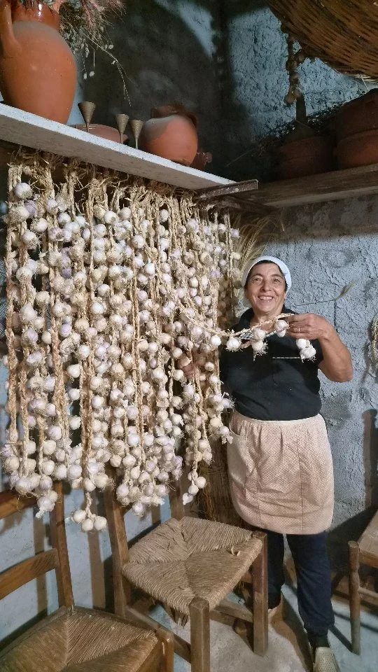 L'agghjicedu rosa i Papagghjionti - Il piccolo aglio rosa di Papaglionti

Alla scoperta di una delle eccellenze più autentiche del Monte Poro: l'Aglio Rosa di Papaglionti, una varietà antica coltivata da generazioni nella piccola frazione di Papaglionti di Zungri. Piccolo nelle dimensioni, ma straordinario per aroma e sapore, questo aglio si distingue per il caratteristico colore rosa delle tuniche, il profumo intenso e persistente e il gusto deciso ma equilibrato, qualità che lo rendono un ingrediente prezioso della cucina tradizionale calabrese. Le particolari caratteristiche del terreno e del microclima contribuiscono a renderlo un prodotto unico, profondamente legato al suo territorio e riconosciuto con la denominazione De.Co.. "Cummari Franca" vi mostra come si realizzano le tradizionali trecce d'aglio, proprio come facevano le nostre nonne, e come conservarle in un luogo fresco e ben arieggiato affinché mantengano inalterate tutte le loro qualità. Ogni treccia è intrecciata a mano con pazienza, cura e amore, seguendo gesti tramandati da generazioni. Custodire il seme significa preservare una varietà antica che rischierebbe di andare perduta. Tramandare queste coltivazioni significa custodire la memoria, la cultura contadina e l'identità del nostro territorio. L'aglio è da sempre considerato un alimento prezioso: oltre a essere indispensabile in cucina, è conosciuto nella tradizione popolare per le sue proprietà aromatiche e benefiche, caratteristiche riconducibili anche alla presenza di composti naturali come l'allicina.

🇮🇹 CALABRIA 'NTO CORI ❤️
https://whatsapp.com/channel/0029VaagyAA6rsQmrBPoCW1L

🤝🏻 Sostienici: facebook.com/becomesupporter/Asfalantea/

Seguici anche su:
facebook.com/Asfalantea
tiktok.com/@asfalantea
youtube.com/@asfalantea
https://asfalantea.it

#agliodipapaglionti #agliorosa #papaglionti #monteporo #prodottitipici